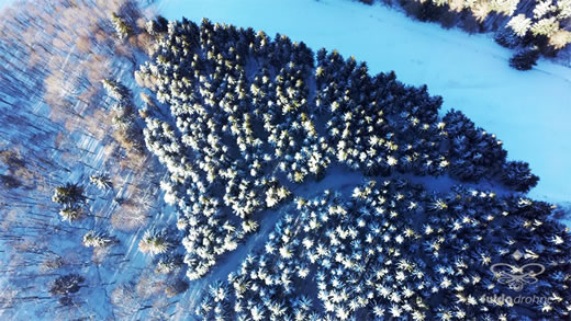 Luftaufnahme der Woche ~ KW 11/2021 ~ Winterimpressionen nahe der Wasserkuppe