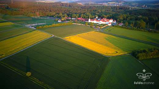 Luftaufnahme der Woche ~ KW 22/2021 ~ Ein Baum, Raps und Schloss Fasanerie im Sonnenuntergang