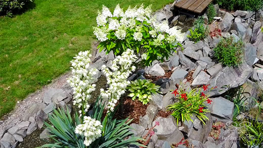 Luftaufnahme der Woche ~ KW 31/2021 ~ Es blüht in unserem Garten