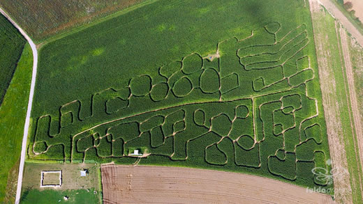 Luftaufnahme der Woche ~ KW 32/2021 ~ Das Maislabyrinth auf dem Kohleser Hof in Künzell - Dirlos