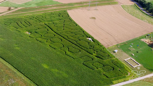Luftaufnahme der Woche ~ KW 32/2021 ~ Das Maislabyrinth auf dem Kohleser Hof in Künzell - Dirlos