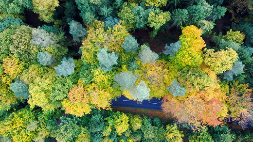 Luftaufnahme der Woche ~ KW 44/2021 ~ Herbstwald mit Straße zwischen Döllbach und Uttrichshausen