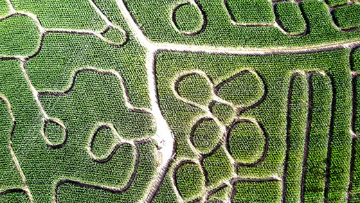 Luftaufnahme der Woche ~ KW 35/2022 ~ Das Maislabyrinth auf dem Kohleser Hof in Künzell - Dirlos