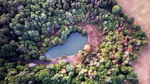 Luftaufnahme der Woche ~ KW 37/2022 ~ Zwei kleine verwunschene Seen in der Nähe von Fladungen in der Rhön