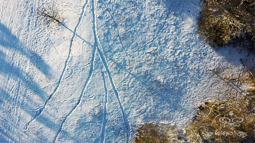 Luftaufnahme der Woche ~ KW 52/2022 ~ „Spuren im Schnee“ - aufgenommen bei der Schulzenbergkapelle in Fulda-Haimbach